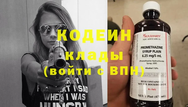 хмурый Алзамай
